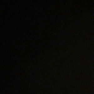 Meet your Posher, Elvis